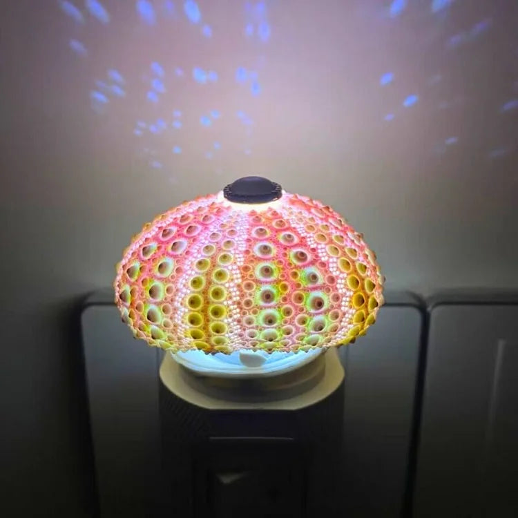Lampe de Nuit DIY Oursin – Créativité Pratique et Ambiance Vintage