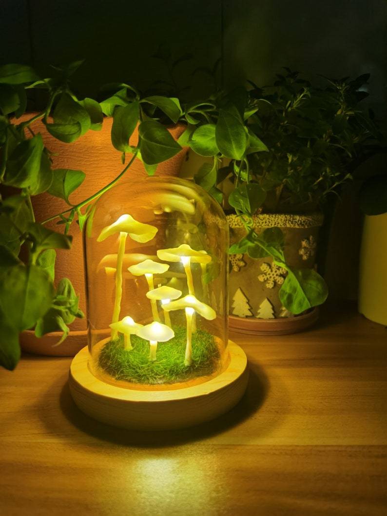 MycoJar | DIY Champignons dans un verre