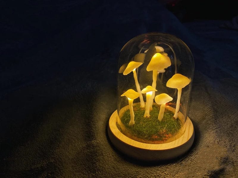 MycoJar | DIY Champignons dans un verre