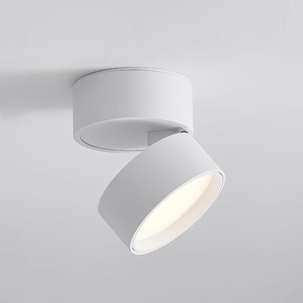 Lampe Plafonnier Surface LED Réglable - Éclairage Moderne pour Œuvres d'Art