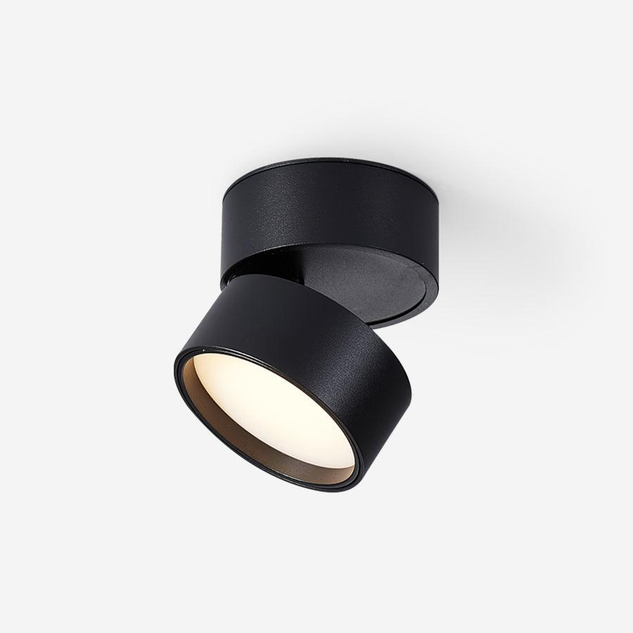 Lampe Plafonnier Surface LED Réglable - Éclairage Moderne pour Œuvres d'Art