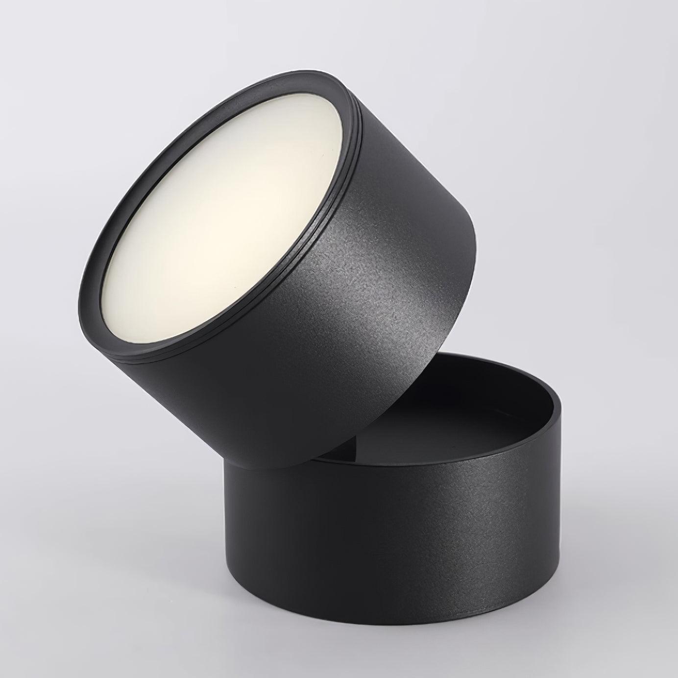 Lampe Plafonnier Surface LED Réglable - Éclairage Moderne pour Œuvres d'Art