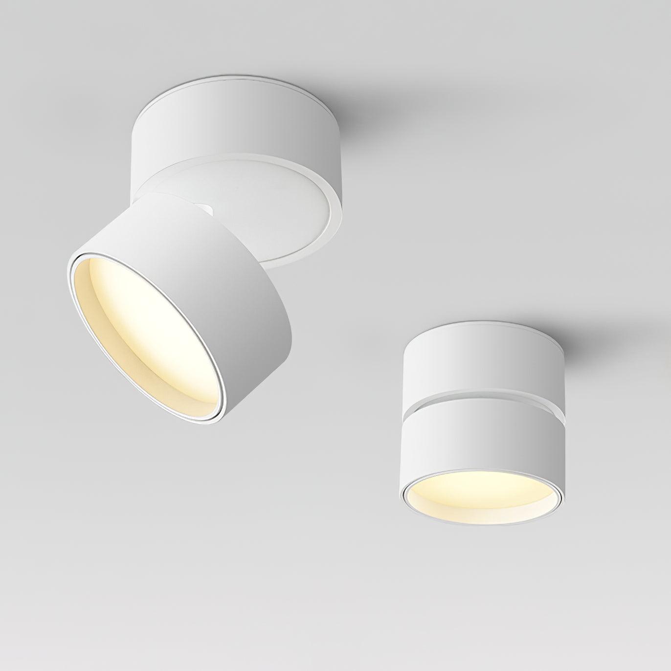 Lampe Plafonnier Surface LED Réglable - Éclairage Moderne pour Œuvres d'Art