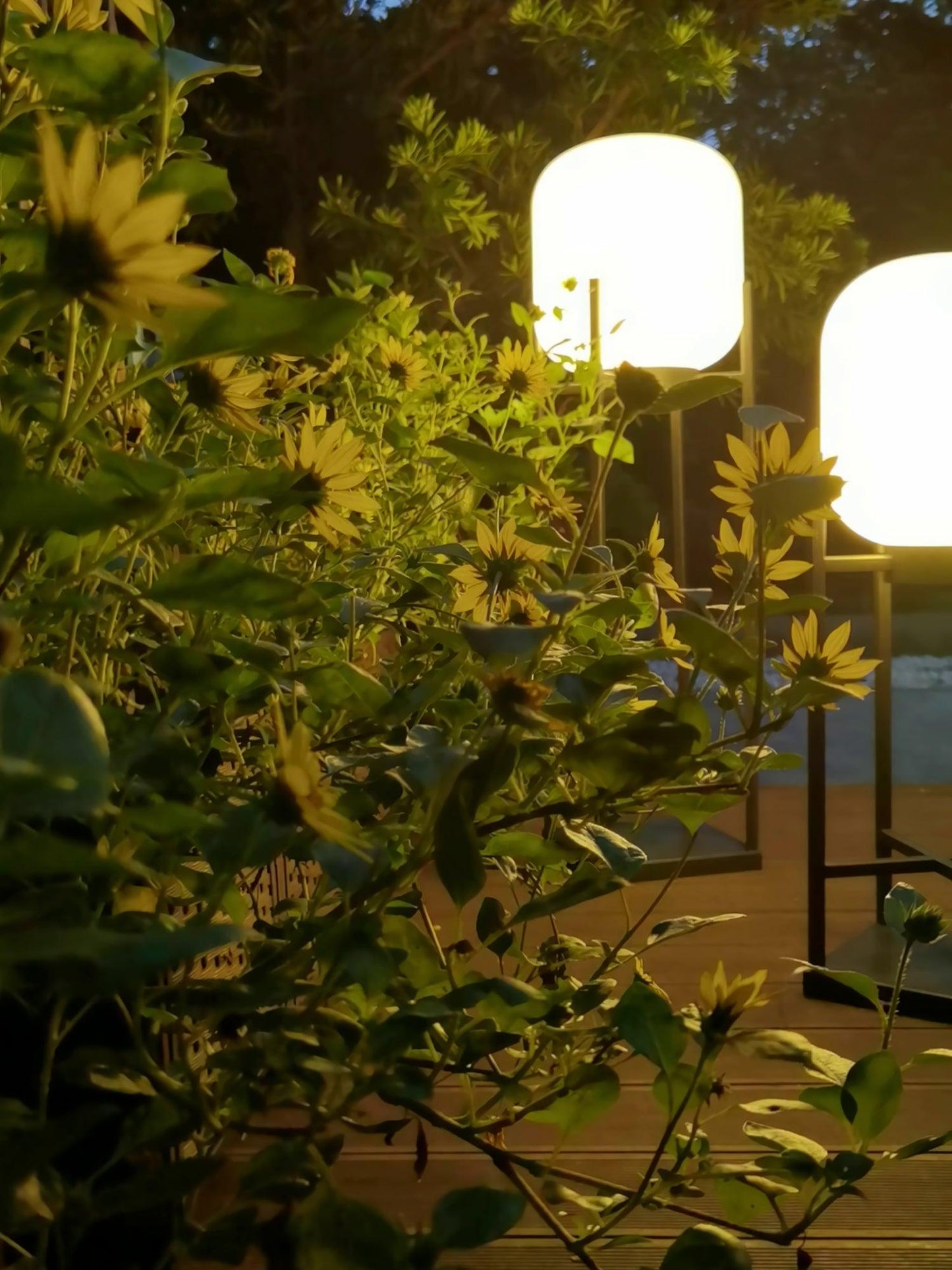 Lampe Solarium Extérieure en Acier Inoxydable et Verre – Éclairage LED Automatique IP65