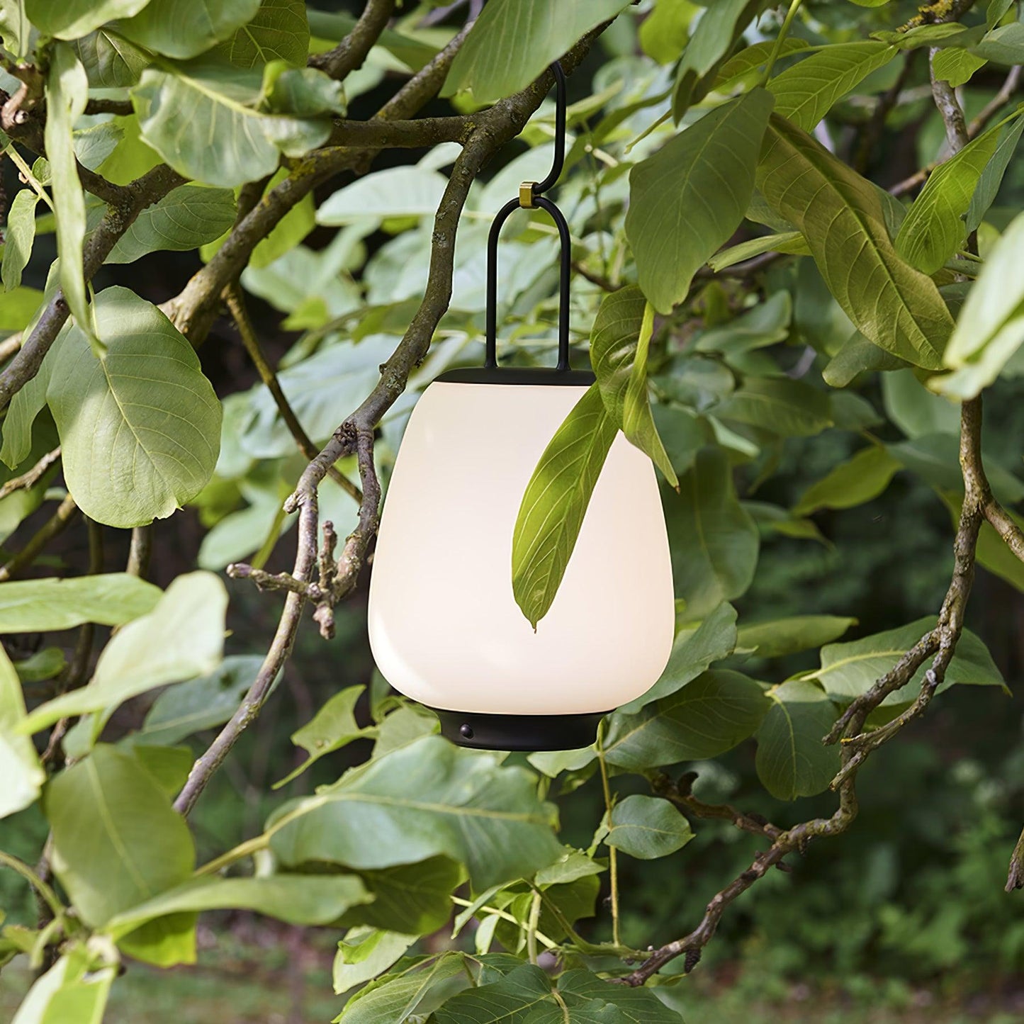 Lampe de Table Portable avec Recharge USB – Design Scandinave Élégant et Lumière Dimmable