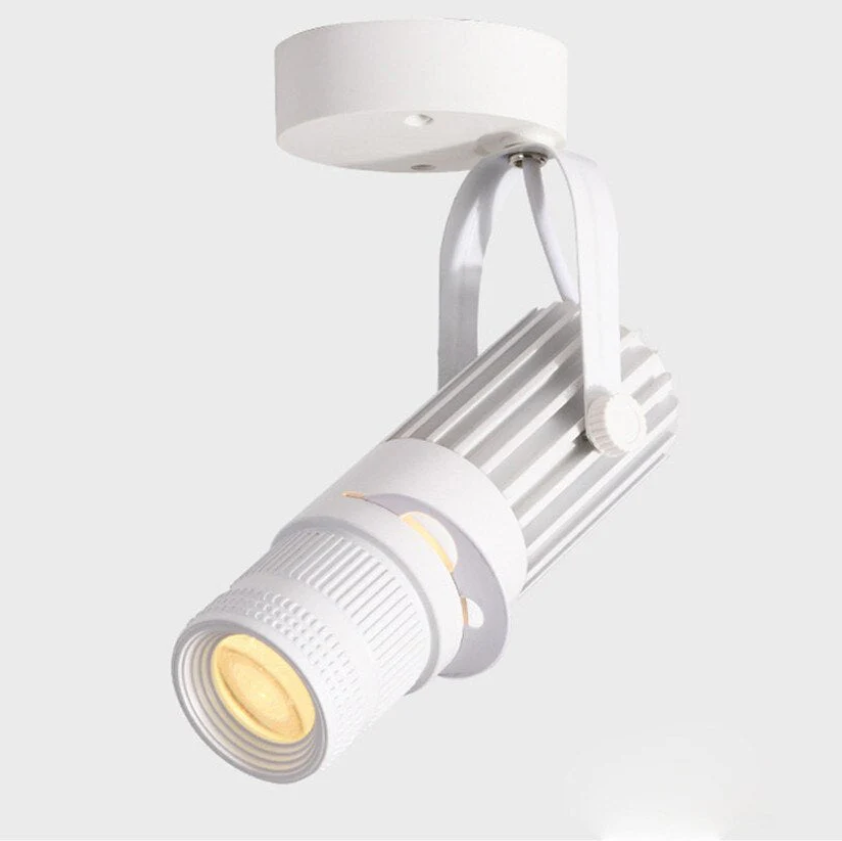 Spot LED Orientable – Éclairage de Focalisation et de Fond