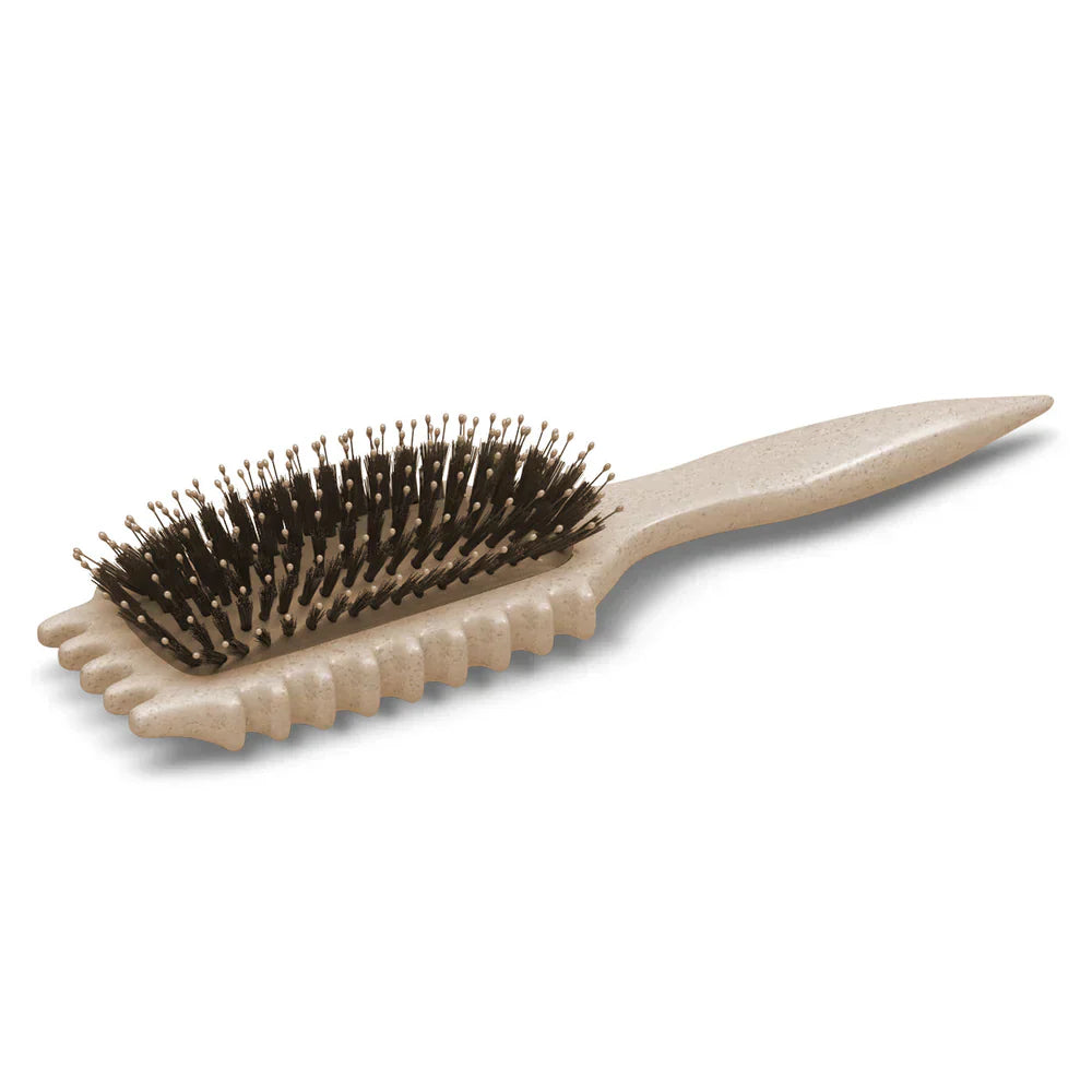 CurlPro - Brosse Innovante pour Boucles Définies et Anti-Frisottis