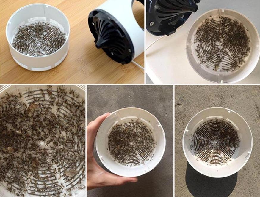 MosquiTrap – Piège à Moustiques Silencieux USB | Sans Produits Chimiques, UV 365nm, Anti-Insectes Intérieur/Extérieur