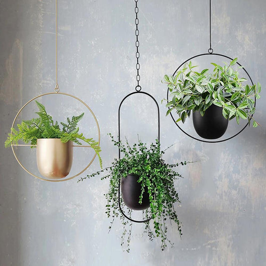 FloraFrame | Support de plantes mural moderne et minimaliste