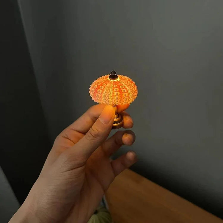 Lampe de Nuit DIY Oursin – Créativité Pratique et Ambiance Vintage