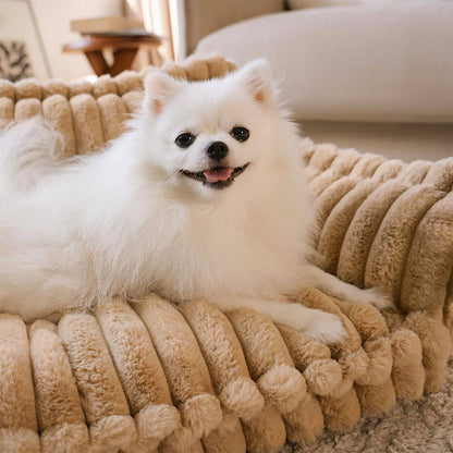 Lit Orthopédique pour Chien CaniSofa – Soutien Articulaire, Housse Lavable, Repose-Tête Confortable