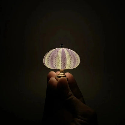 Lampe de Nuit DIY Oursin – Créativité Pratique et Ambiance Vintage