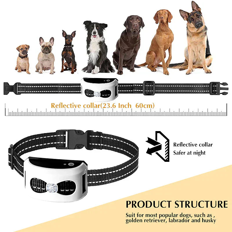 Clôture Sans Fil & Collier de Dressage 2-en-1 pour Chien – Étanche, Rechargeable, Portée 300 m