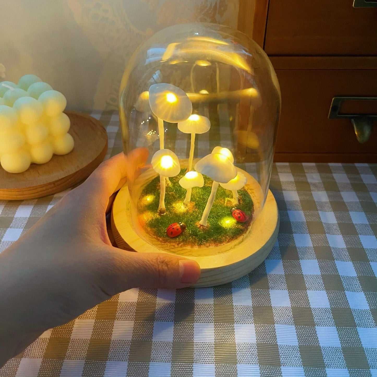 MycoJar | DIY Champignons dans un verre