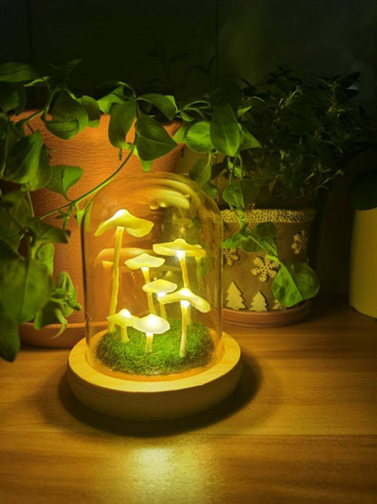 MycoJar | DIY Champignons dans un verre