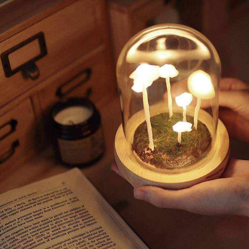 MycoJar | DIY Champignons dans un verre
