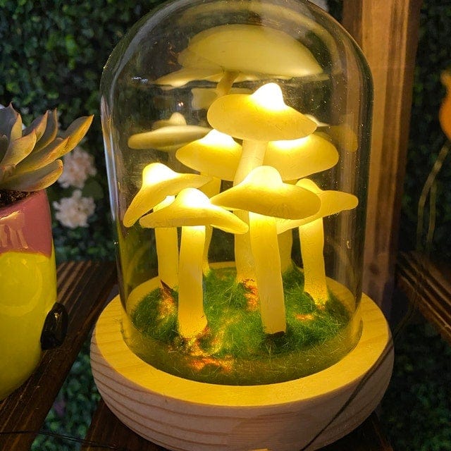 MycoJar | DIY Champignons dans un verre
