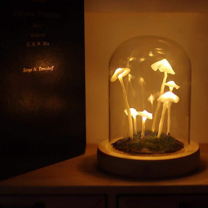 MycoJar | DIY Champignons dans un verre