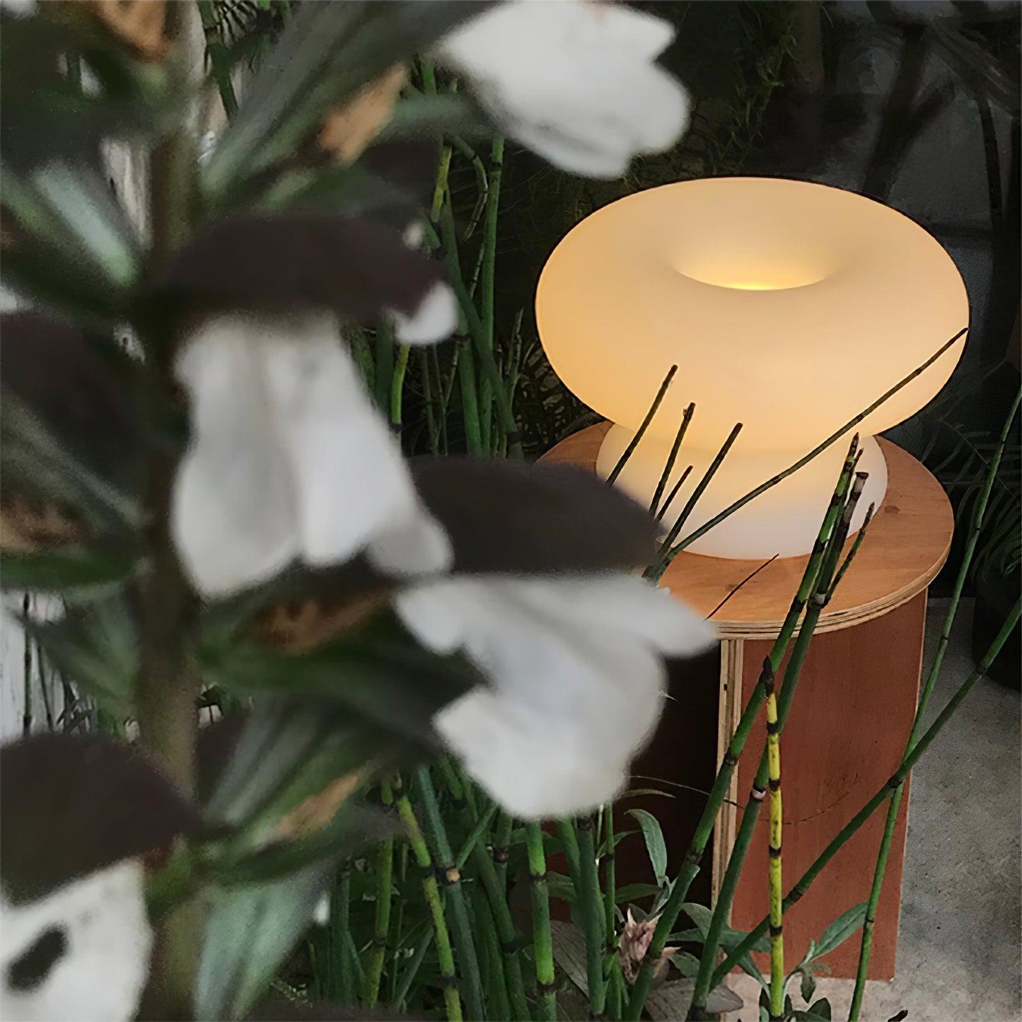 Lampe de Table Donut – Design Unique et Éclairage Doux pour une Ambiance Accueillante