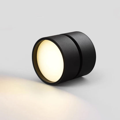 Lampe Plafonnier Surface LED Réglable - Éclairage Moderne pour Œuvres d'Art