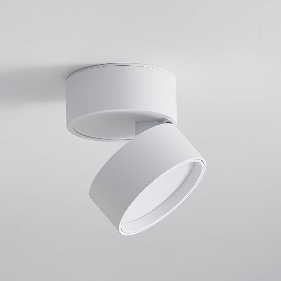 Lampe Plafonnier Surface LED Réglable - Éclairage Moderne pour Œuvres d'Art