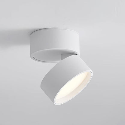 Lampe Plafonnier Surface LED Réglable - Éclairage Moderne pour Œuvres d'Art