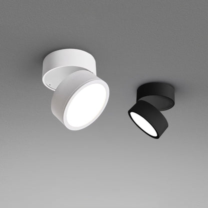 Lampe Plafonnier Surface LED Réglable - Éclairage Moderne pour Œuvres d'Art