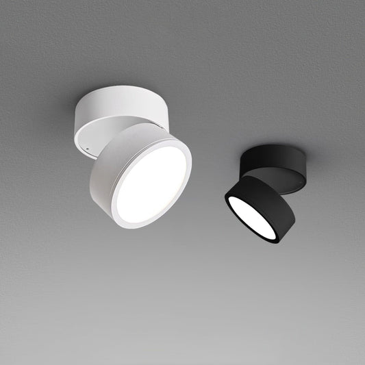 Lampe Plafonnier Surface LED Réglable - Éclairage Moderne pour Œuvres d'Art
