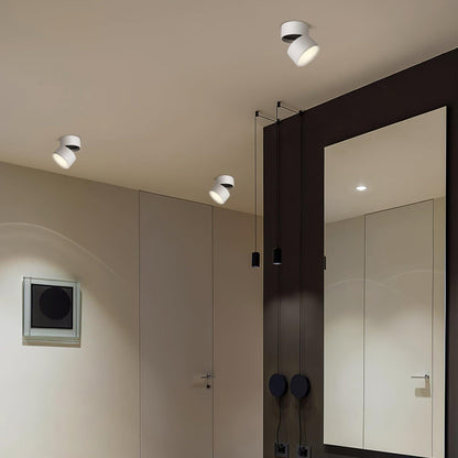 Lampe Plafonnier Surface LED Réglable - Éclairage Moderne pour Œuvres d'Art