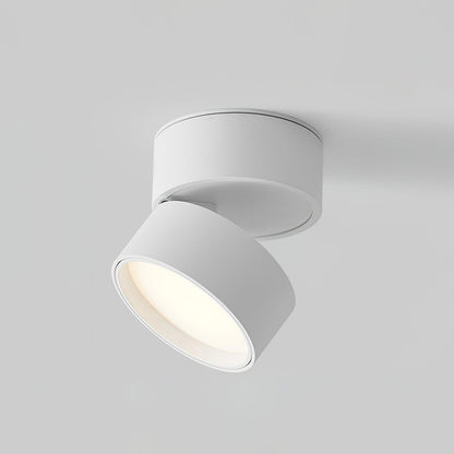 Lampe Plafonnier Surface LED Réglable - Éclairage Moderne pour Œuvres d'Art