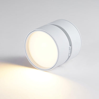 Lampe Plafonnier Surface LED Réglable - Éclairage Moderne pour Œuvres d'Art