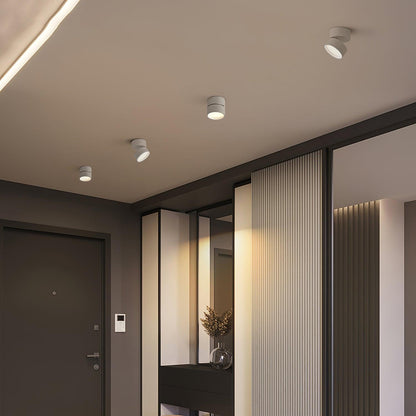 Plafonnier LED Savvina Surface – Lampe de Plafond Moderne et Réglable pour Intérieur