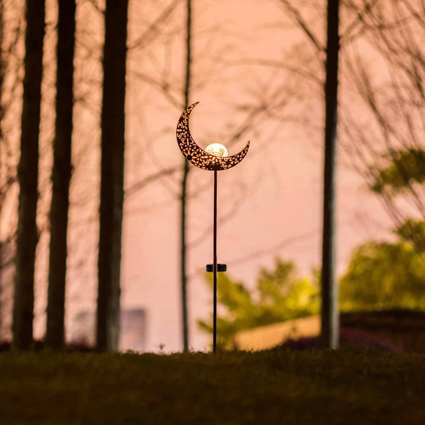 Lumière Céleste de Jardin Solaire - Transformez Votre Jardin en un Écrin Magique