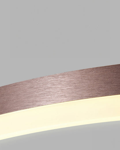 Plafonnier Éléphant en Anneau LED - Luminaire Moderne Design Géométrique avec Éclairage Économe en Énergie