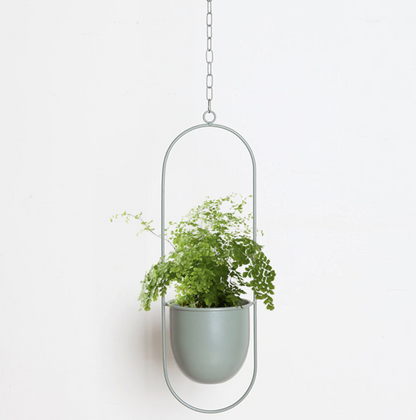 FloraFrame | Support de plantes mural moderne et minimaliste