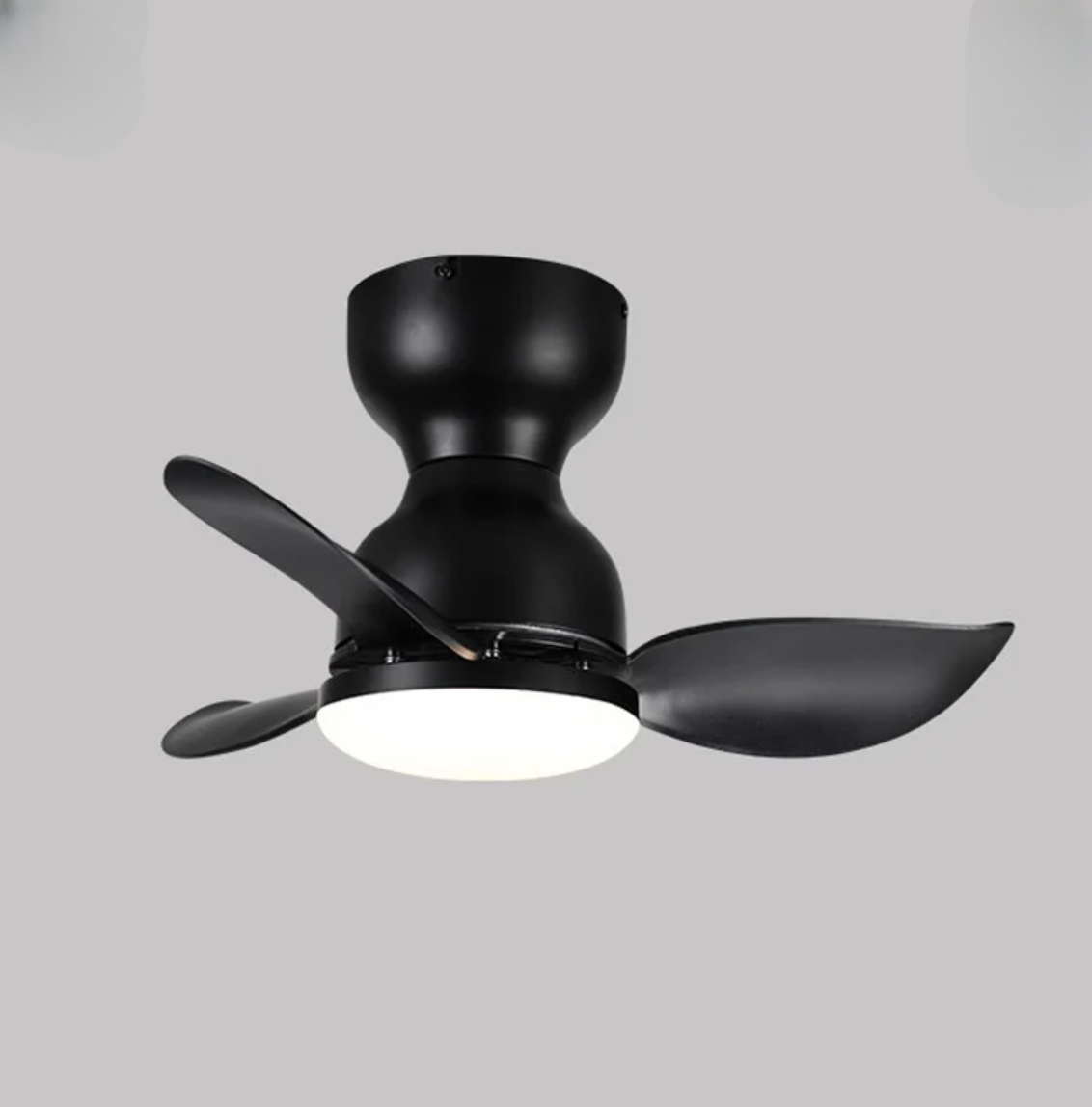 Trailblazer 18 Lumière du ventilateur de plafond