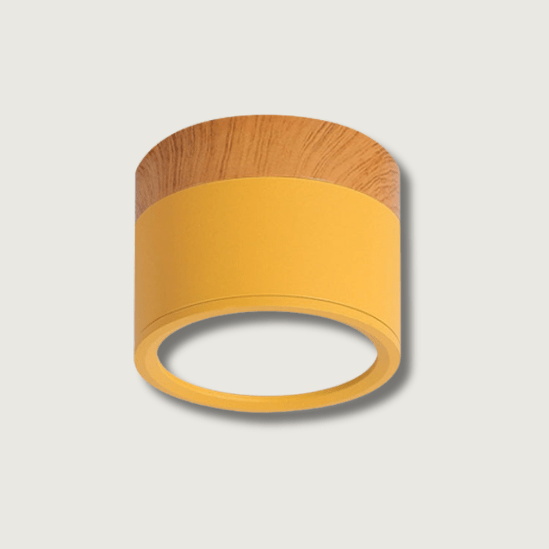 VibrantGlow - Petite lampe de plafond au style élégant