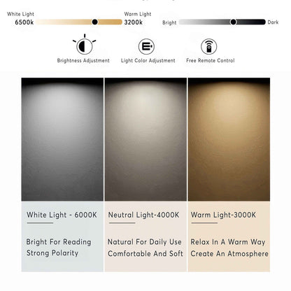Suspension LED Moderne Ronde - Éclairage Énergie Efficace et Élégant