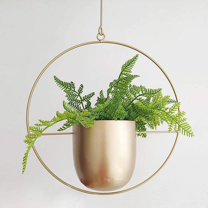 FloraFrame | Support de plantes mural moderne et minimaliste