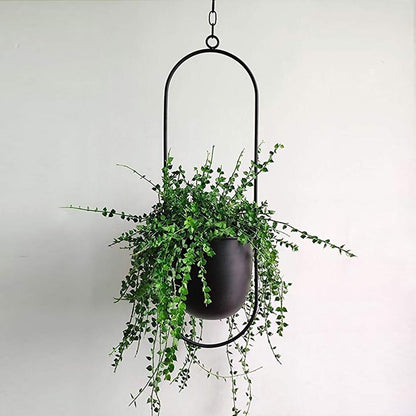 FloraFrame | Support de plantes mural moderne et minimaliste